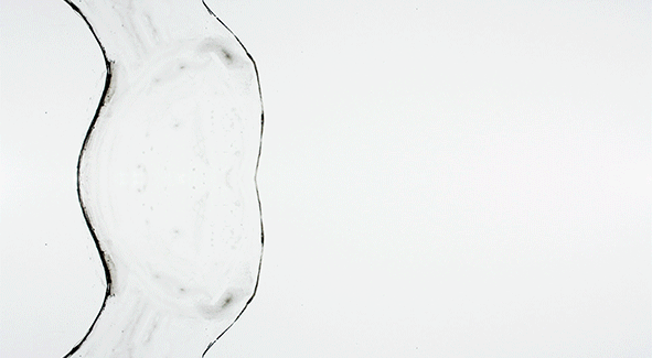 Animación experimental