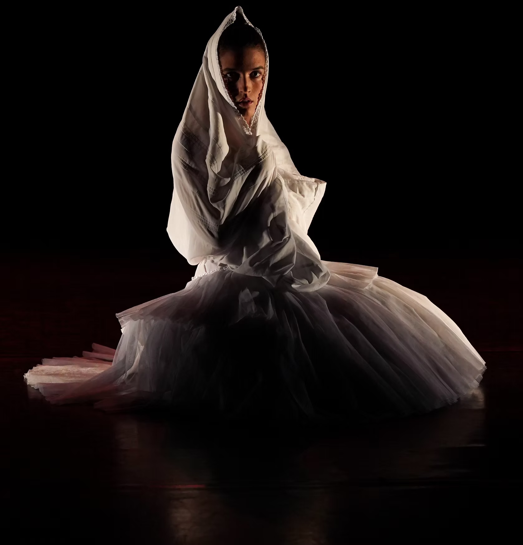 Proyecto colaborativo