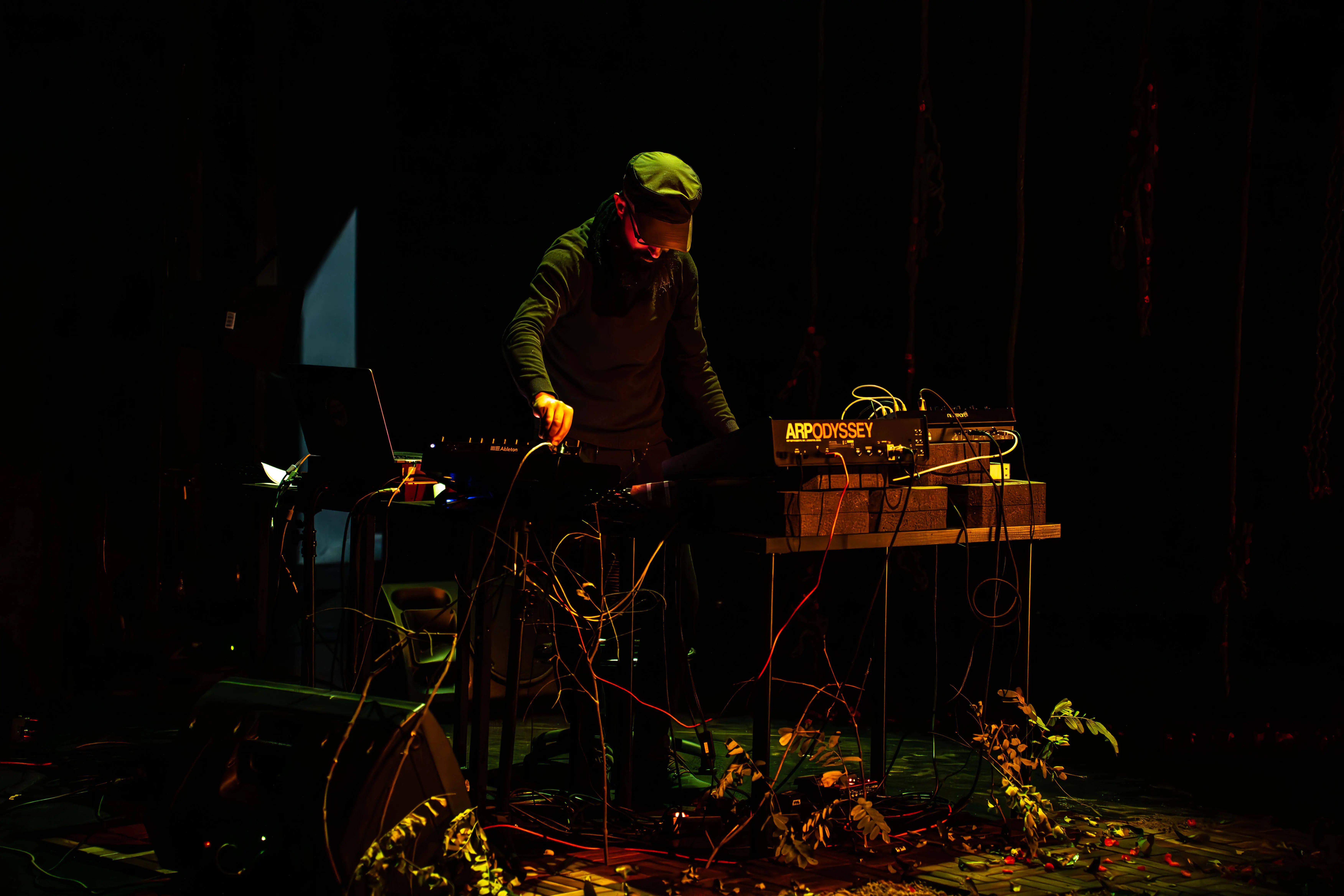 Proyecto colaborativo