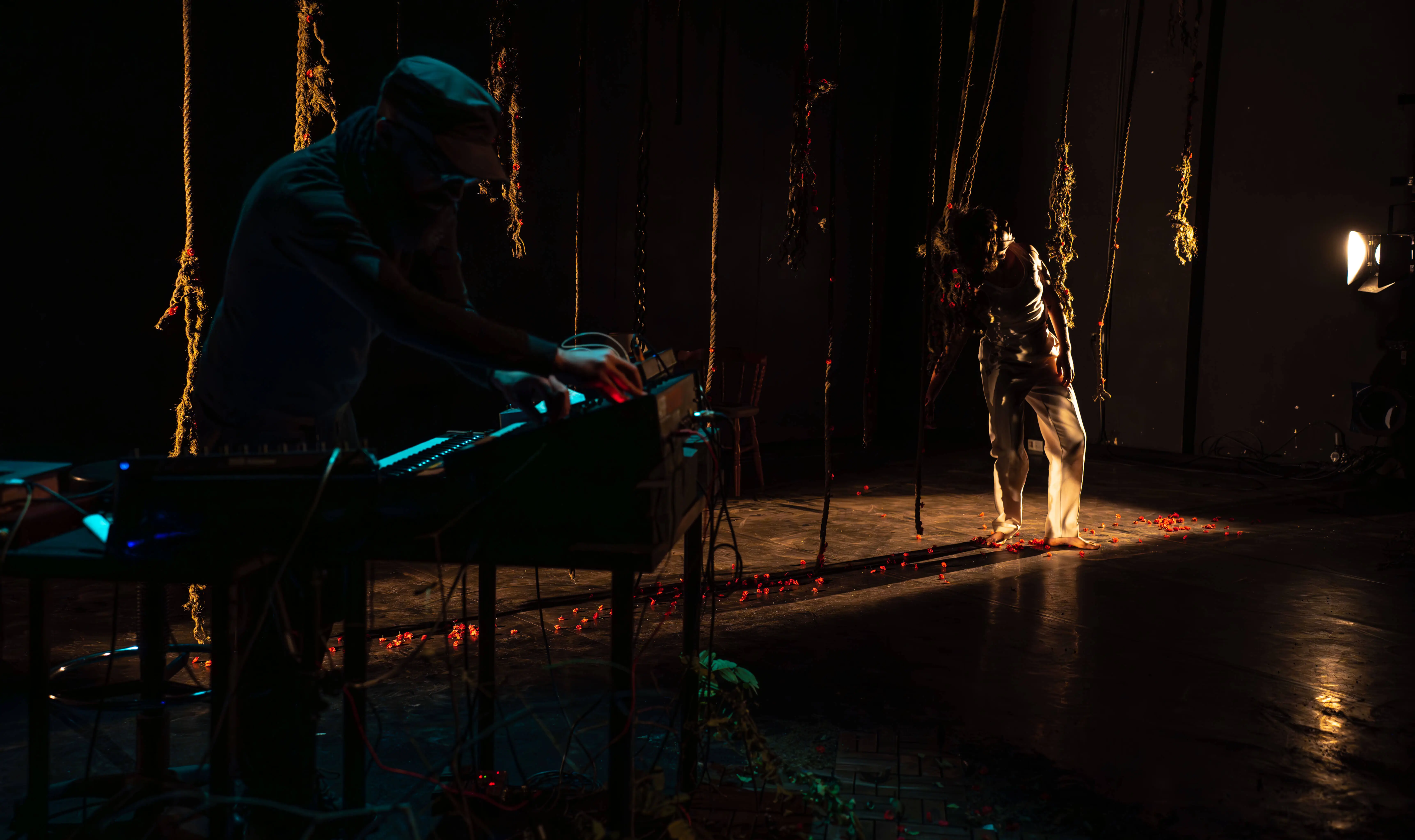 Proyecto colaborativo