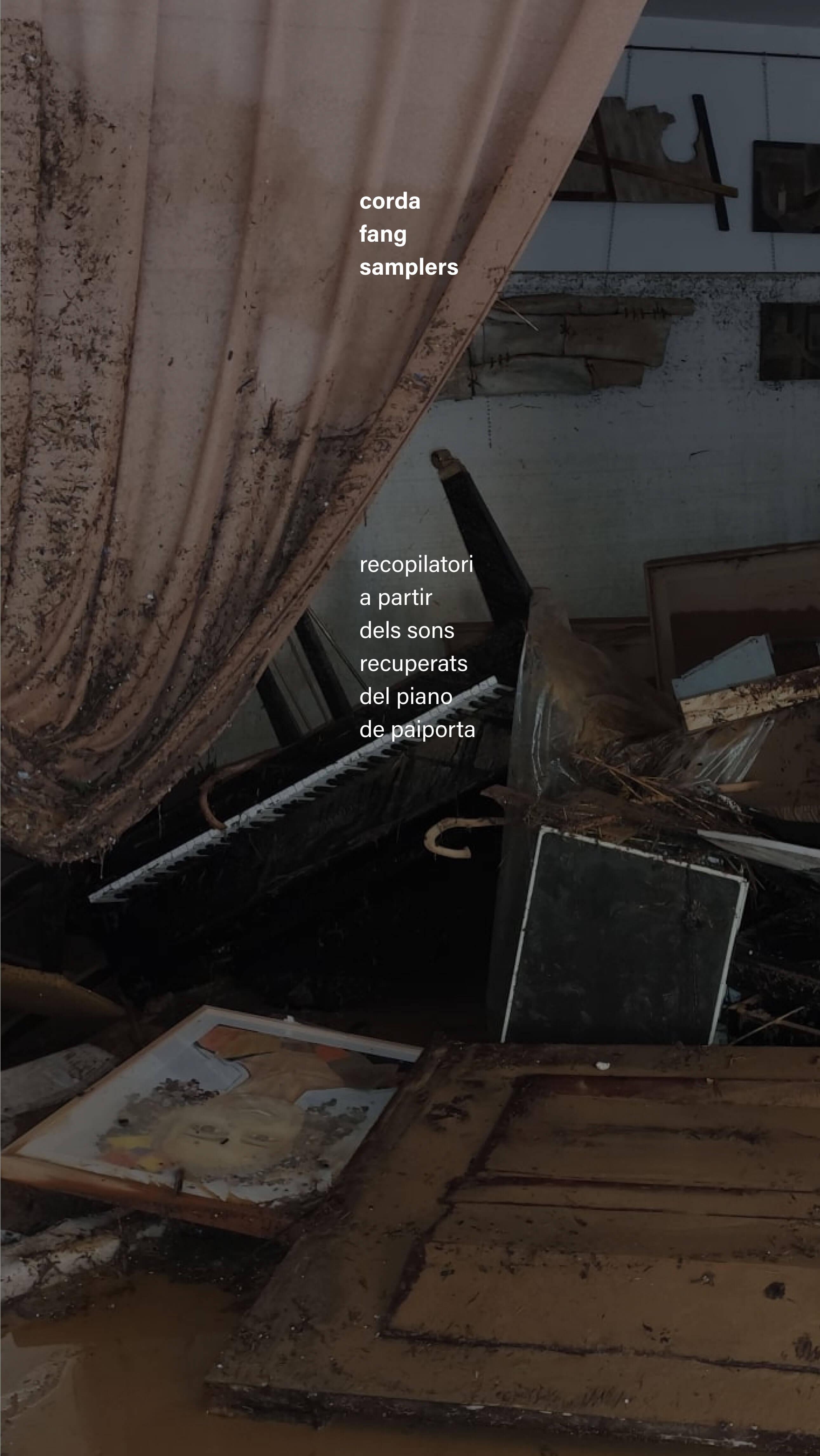 Proyecto colaborativo